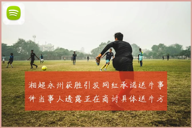 湘超永州获胜引发网红承诺送牛事件当事人透露正在商讨具体送牛方案