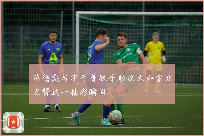 范德彪与字母哥联手助攻大加索尔点赞这一精彩瞬间
