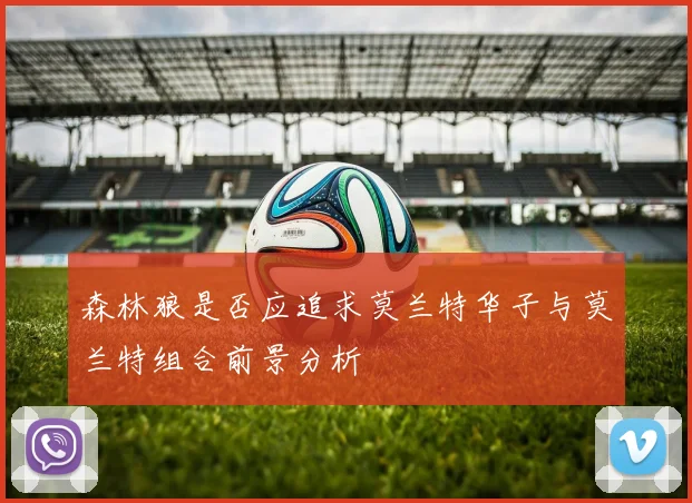 森林狼是否应追求莫兰特华子与莫兰特组合前景分析