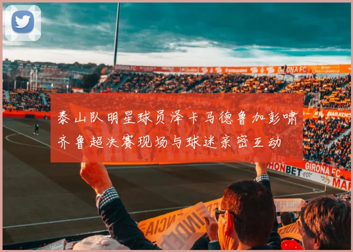 泰山队明星球员泽卡马德鲁加彭啸齐鲁超决赛现场与球迷亲密互动
